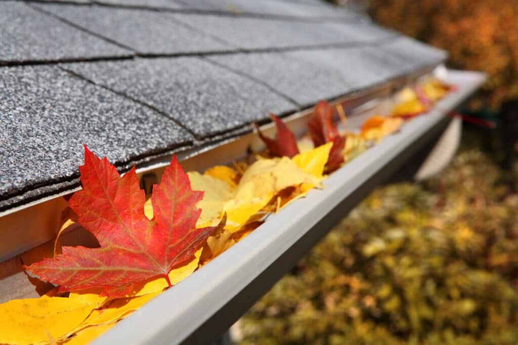 Clogged gutter filled with leaves and debris on a residential home